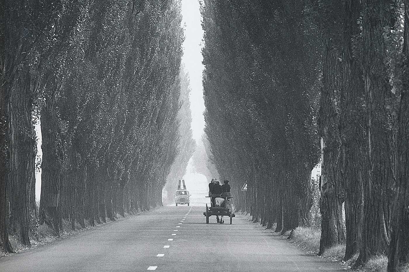 Pappelallee Turtmann